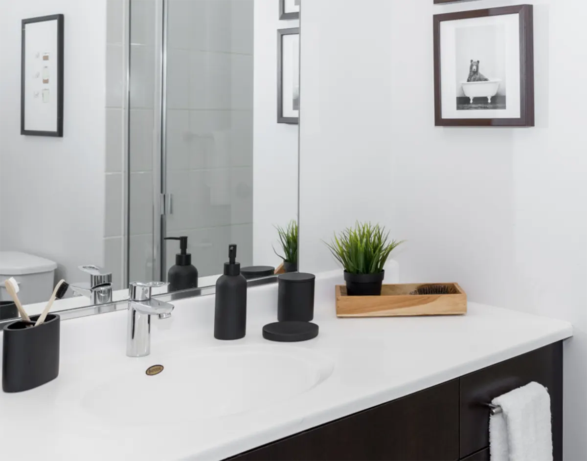 Student 3 Bedroom Apartments